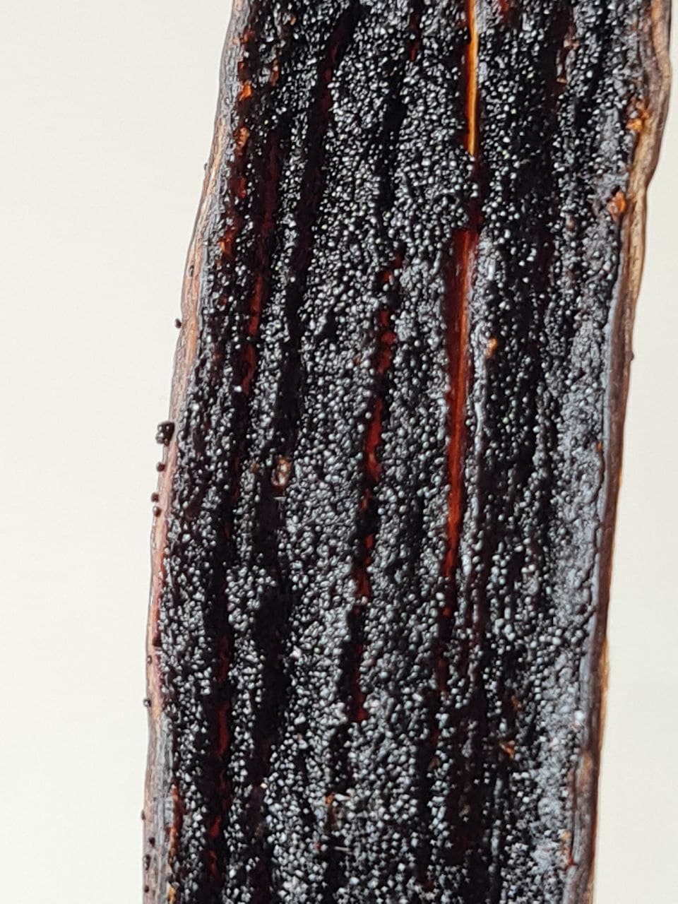 Vanillature vanilla