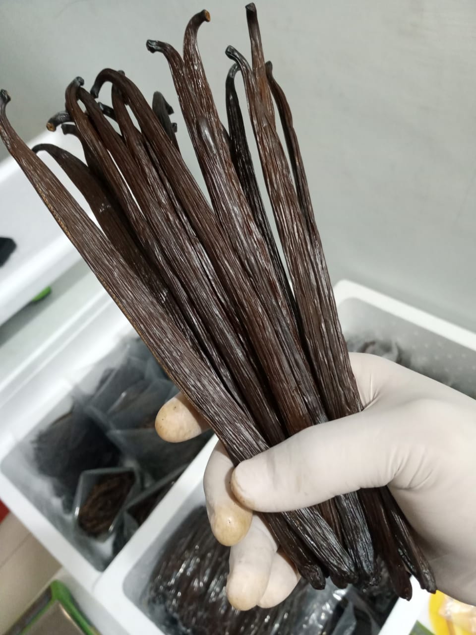 Vanillature vanilla
